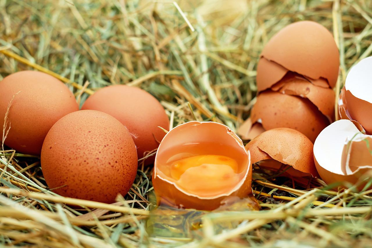Gallina Real - 🍳💖 Este año, elige nutrirte. Los huevos de Gallina Real  son la opción perfecta para una alimentación consciente y deliciosa. ¿Te  unes a nosotros en este viaje hacia un
