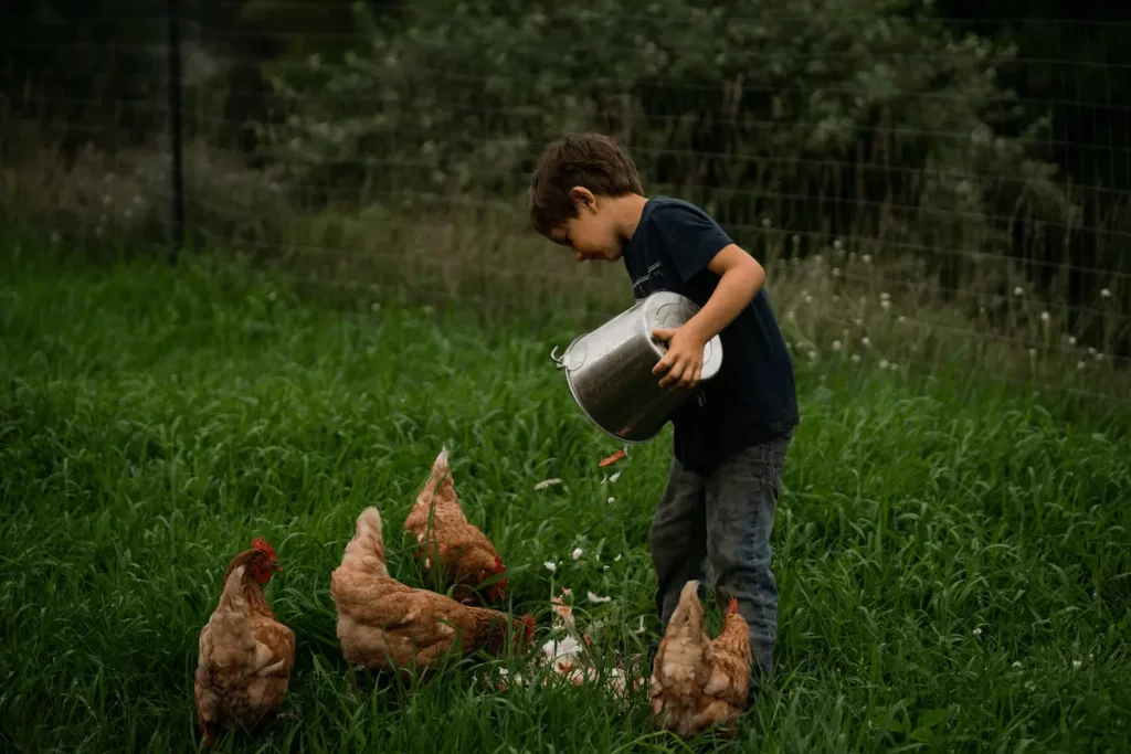 Decálogo Gallinarius del buen cuidador de gallinas