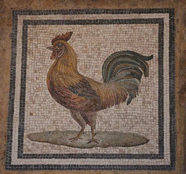 gallo mosaico